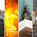 Fire, Water & Mold Restoration Company | $400K SDE | Vehicles & Equipment Included