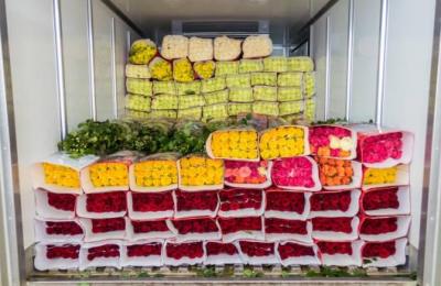 Established NYC Delivery Route – $2,500/Week Gross – Low Overhead – Owner Operator