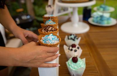 Absentee-Owned Flash-Frozen Ice Cream Experience | North Shore LI | Grow